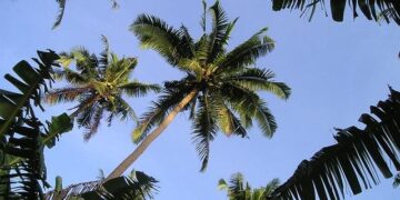 Governor Highlights Exciting Infrastructure and Energy Projects in American Samoa’s State of the Territory Address