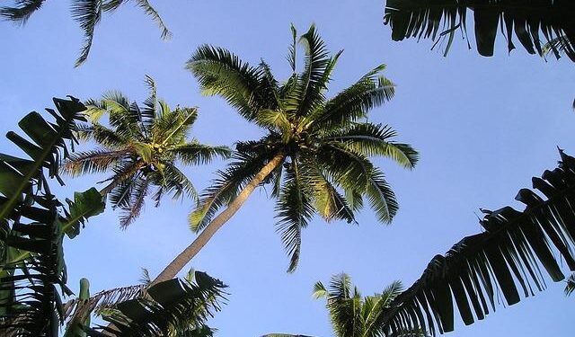 Governor Highlights Exciting Infrastructure and Energy Projects in American Samoa’s State of the Territory Address