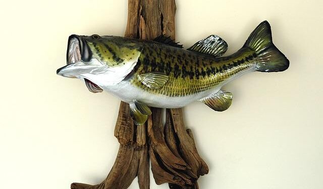 Hooked on Adventure: Celebrating America’s Big-Game Fishing Heritage