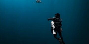 Unveiling the Mystery: A New Species of Walking Shark Discovered in Papua New Guinea!