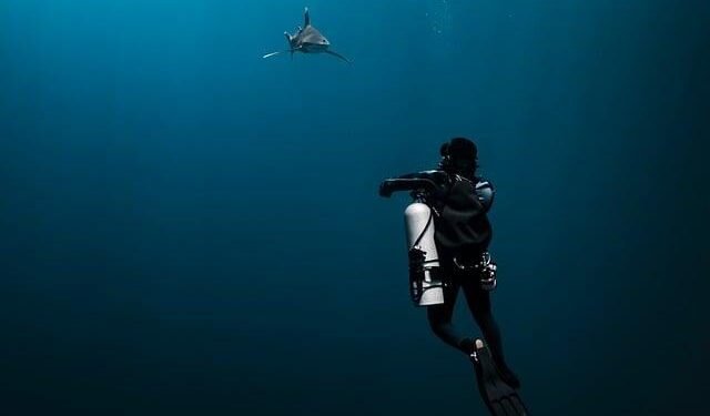 Unveiling the Mystery: A New Species of Walking Shark Discovered in Papua New Guinea!