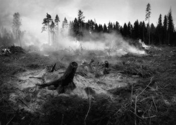 Heroic Firefighters Conquer Wildfire in Cairngorms National Park!