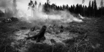 Heroic Firefighters Conquer Wildfire in Cairngorms National Park!