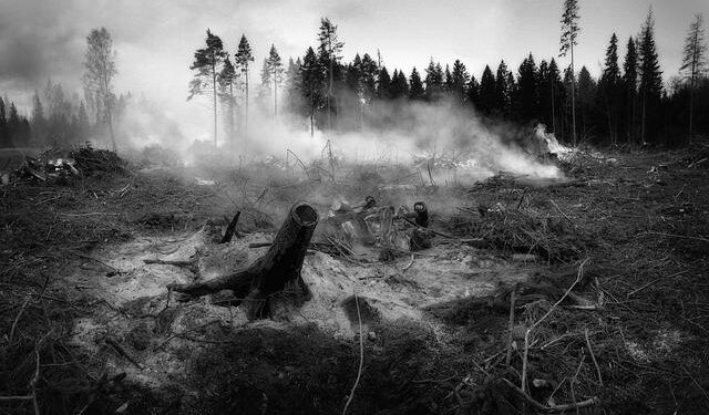 Heroic Firefighters Conquer Wildfire in Cairngorms National Park!