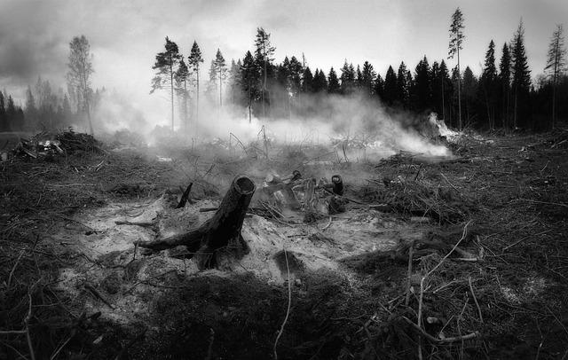 Heroic Firefighters Conquer Wildfire in Cairngorms National Park!