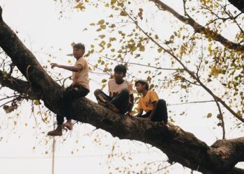 Savor the Authentic Tastes of Nepal in the Heart of Kosovo!