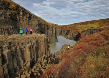 Unveiling Icelandic: My Transformative Journey and Unexpected Insights