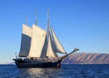 MAGA Senator Warns: Greenland Faces Danger from ‘Radical Mullahs