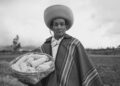 Unleash the Flavors of Zimbabwe: A Culinary Adventure into Indigenous Plant-Based Delights!
