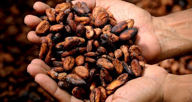 Unlocking Prosperity: How Cocoa Can Transform the Lives of Pacific Farmers