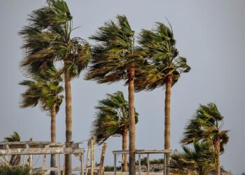 Brace for Impact: Tropical Storm Lala Heads Toward Hawaii!