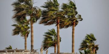 Brace for Impact: Tropical Storm Lala Heads Toward Hawaii!