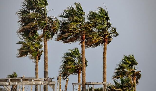 Brace for Impact: Tropical Storm Lala Heads Toward Hawaii!