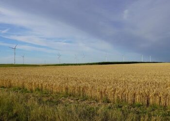 France Prepares for Scorching Heatwave: 15% of Nuclear Power Capacity in Jeopardy!