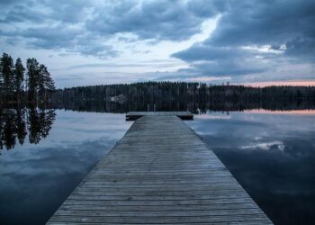 UB Finland Stays on Track in July with Strategic Investments in Kone, Wärtsilä, and Forestry Companies