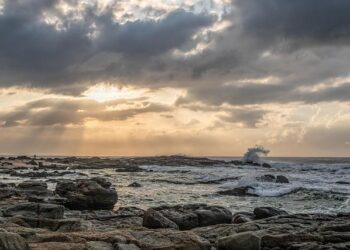 South Africa’s July Inflation Drops to 4.3%: Navigating Ongoing Food and Fuel Challenges Amid Rising Oil Prices