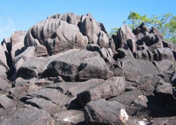 From Independence to Eco-Leader: The Seychelles’ Remarkable Transformation