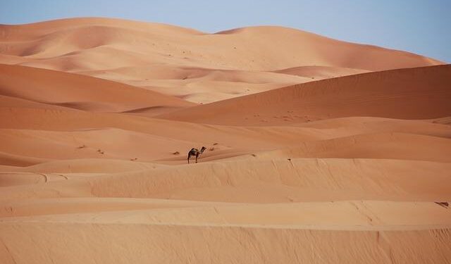 Morocco’s Stock Market Takes Off: All Shares Surge by 0.73%!