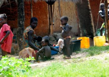Anticipation Soars as Guinea-Bissau Gears Up for December 6 Elections!