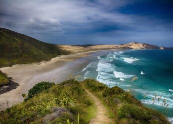 New Zealand Shares Hold Steady Amid Mixed Fiscal 2026 Results from Spark New Zealand