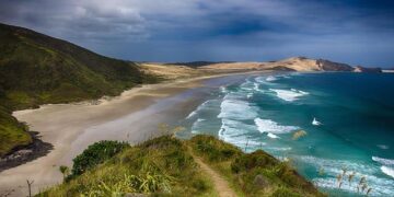 New Zealand Shares Hold Steady Amid Mixed Fiscal 2026 Results from Spark New Zealand