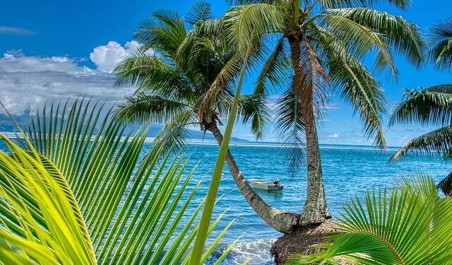 Uncover the Hidden Gems of Tahiti: Experience Paradise on a Budget!
