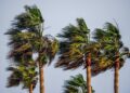 Brace for Impact: Tropical Storm Saudel Forms Near Guam – Here’s What You Need to Know!