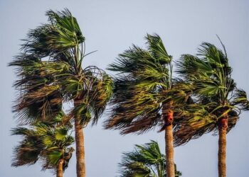 Brace for Impact: Tropical Storm Saudel Forms Near Guam – Here’s What You Need to Know!