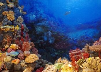 Unearthing the Secrets of Seabed Mining in the Cook Islands: A Deep Dive with John Parianos