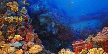 Unearthing the Secrets of Seabed Mining in the Cook Islands: A Deep Dive with John Parianos