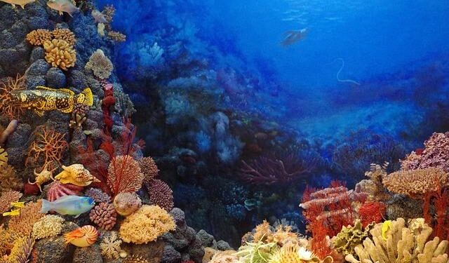Unearthing the Secrets of Seabed Mining in the Cook Islands: A Deep Dive with John Parianos