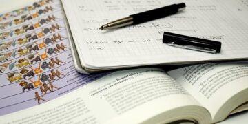 IDP Education’s Stock Takes a Dive: What’s Behind the 2027 Earnings Woes?