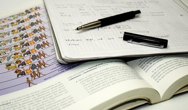 IDP Education’s Stock Takes a Dive: What’s Behind the 2027 Earnings Woes?
