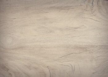 June Sees a Dramatic 37% Drop in Lithuania’s Lumber Exports: Implications for the Industry