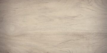 June Sees a Dramatic 37% Drop in Lithuania’s Lumber Exports: Implications for the Industry