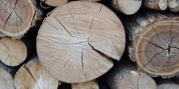 Don’t Miss WOODCUTTER: The Must-See Sensation at the Edinburgh Festival Fringe!