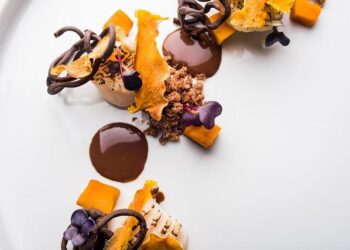 Record-Breaking Profitability and 18% Sales Surge: How CHEF Thrived in H1 Thanks to Norway and Stellar Operations!