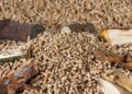 Danish Wood Pellet Imports Take a Dive: A 24% Drop in June!