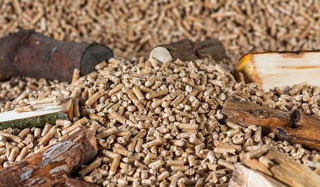 Danish Wood Pellet Imports Take a Dive: A 24% Drop in June!