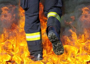 Bravery in the Face of Destruction: Firefighters Battle Devastating Wildfires in Belgium and Greece