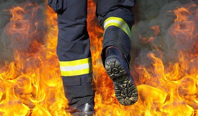 Bravery in the Face of Destruction: Firefighters Battle Devastating Wildfires in Belgium and Greece
