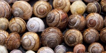 Shell Seals the Deal: Exciting Sale of BG Cyprus Limited!