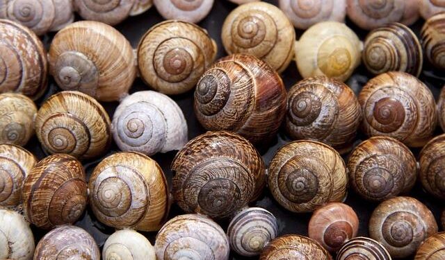 Shell Seals the Deal: Exciting Sale of BG Cyprus Limited!