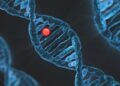 Unraveling the Secrets of Human Evolution: Discoveries from Oceania’s Genomes
