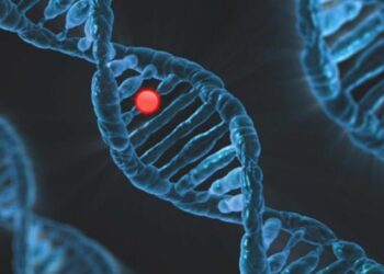Unraveling the Secrets of Human Evolution: Discoveries from Oceania’s Genomes