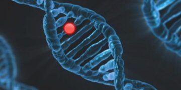 Unraveling the Secrets of Human Evolution: Discoveries from Oceania’s Genomes