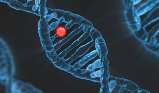 Unraveling the Secrets of Human Evolution: Discoveries from Oceania’s Genomes