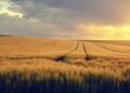 Lithuania Steps Up: €0.6 Million Investment to Resolve Belarusian Fertilizer Arbitration Disputes
