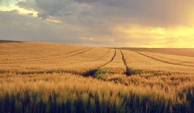 Lithuania Steps Up: €0.6 Million Investment to Resolve Belarusian Fertilizer Arbitration Disputes