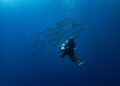Ukrainian Diver Detained in Croatia: A Major Player in the Nord Stream Mystery